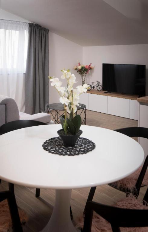 Villa J&J Apartments Residence With Swimming Pool 포드스트라나 외부 사진